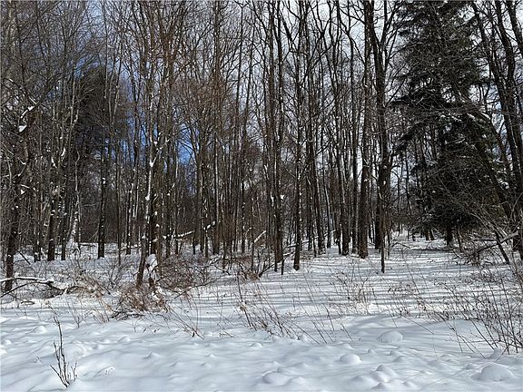 4th image of 0 Wilgus Rd