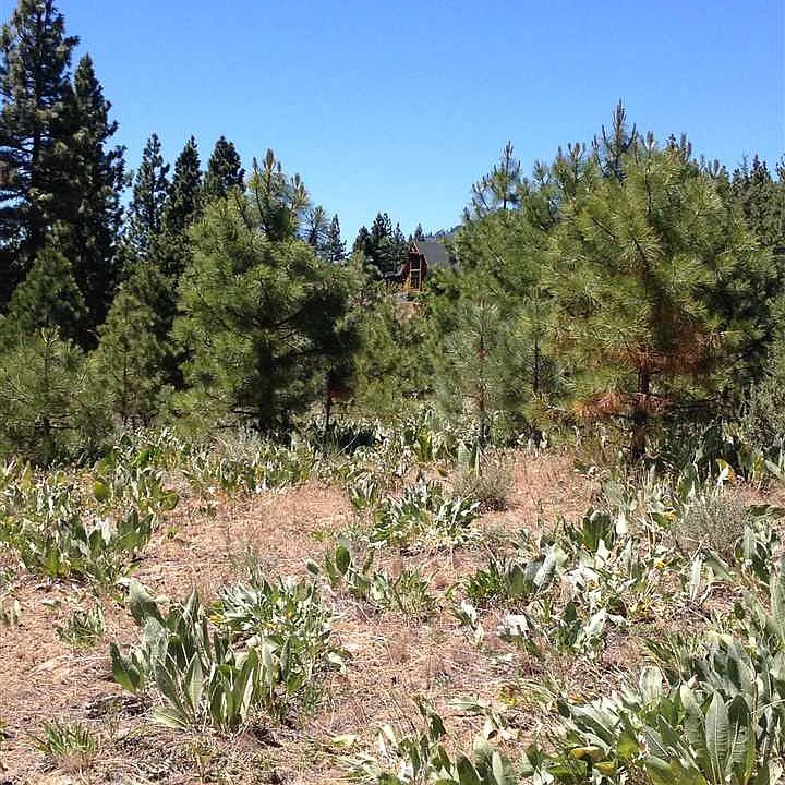 2nd image of 1841 Grizzly Ranch Rd