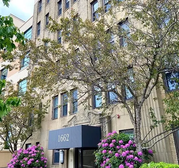 1662 Commonwealth Ave #11 — Photo 14