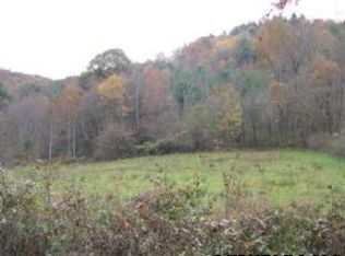 LOT Six Waterwheel, Clyde, NC 28721