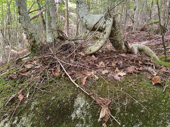 0 Fall Brook Road UNIT #4, Wheelock, VT 05851