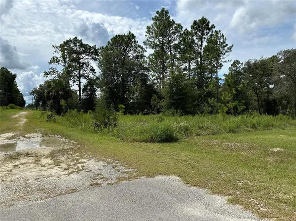 SE 130th Ct Lot 29, Dunnellon, FL 34431