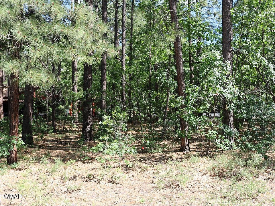 2nd image of E Gobbler Peak Ln