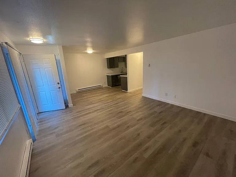Lower level Living room