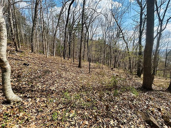 5th image of Tbd Julia Simpkins Rd