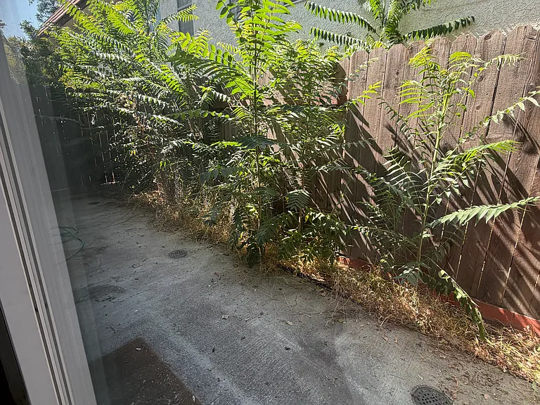 56 N Michigan Ave #3 — Photo 8