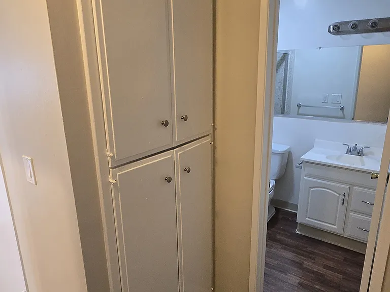 Hall Closets in Primary Suite