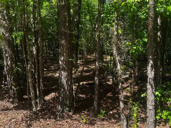 23 Andorra Cir, Hot Springs Village, AR 71909