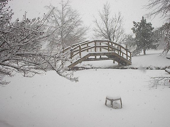 bridge in Jan. 2010