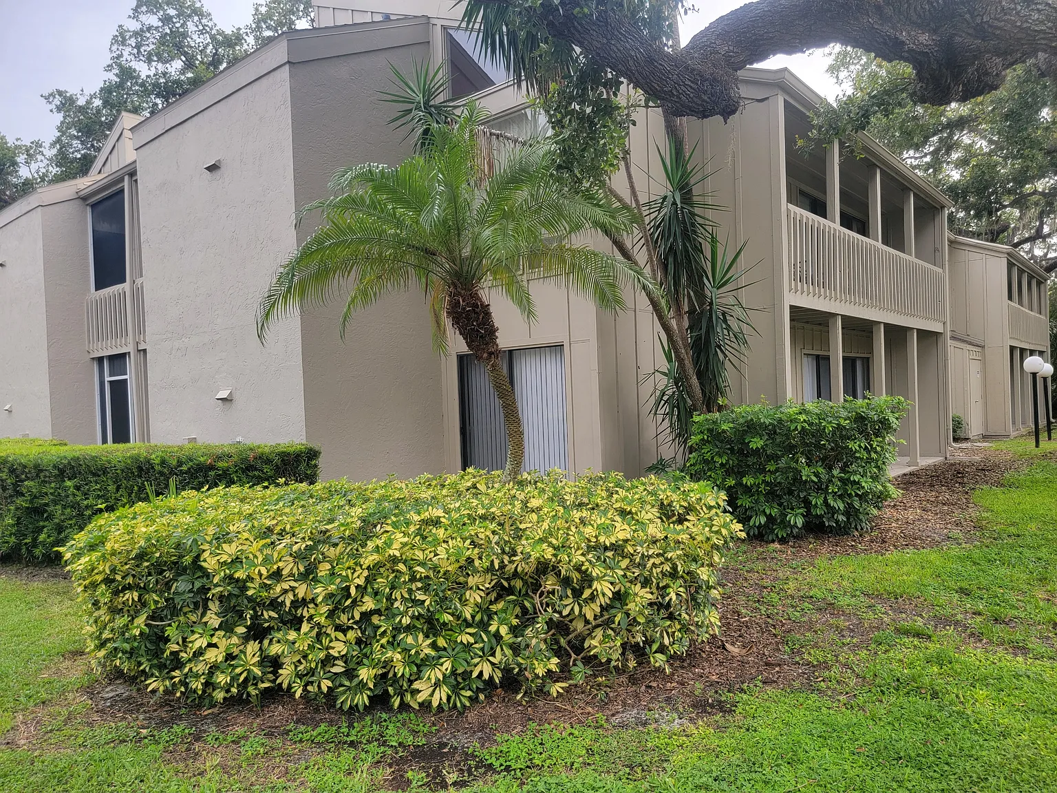 2 bed, 982 sqft, $2,000 — Photo 2