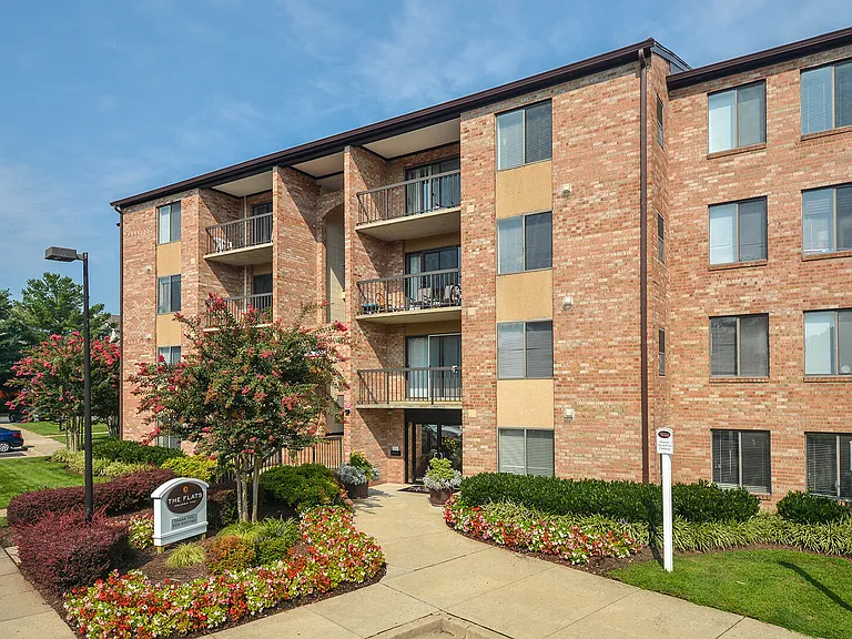 The Flats at Columbia Pike — Photo 21