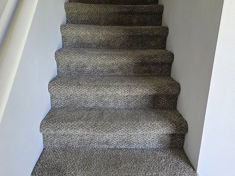 103 Coconut Palm Way — Photo 11