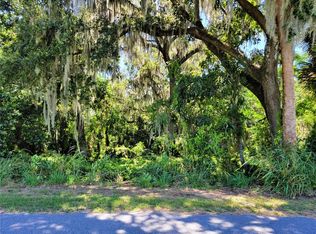 Bloomfield Ave PARCEL 1, Yalaha, FL 34797