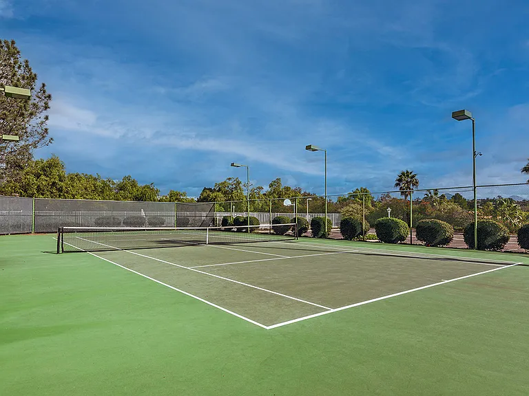 11239 Avenida De Los Lobos — Photo 30