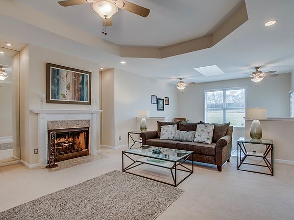 Wood Burning Fireplace