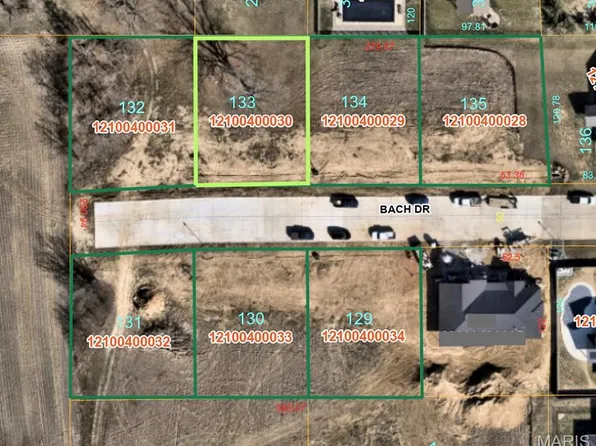 905 Bach Dr, Millstadt, IL 62260