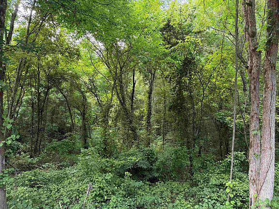 4th image of 8 Rose Creek Rd