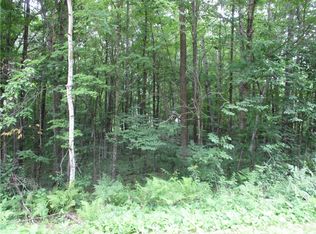 LOT 96 Woods Ave, Birchwood, WI 54817