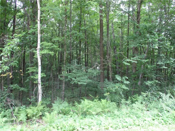Lot #96 WOODS Avenue, Birchwood, WI 54817
