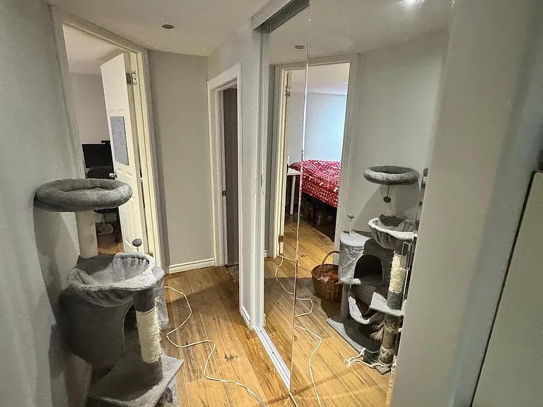 166 Erindale Ave #BSMNT — Photo 9