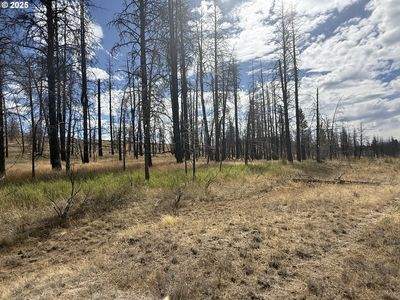 0 Godowa Springs Rd, Beatty, OR, 97621