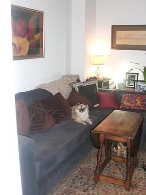 Rented by Citi Habitats | media 42