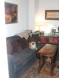 Rented by Citi Habitats