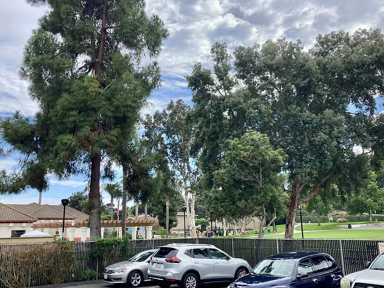 Solana Park Apartments parking lot with La Colonia Park recreation center in the background.