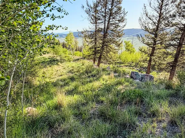 4924 Middle Fork Vista, Fairplay, CO 80440