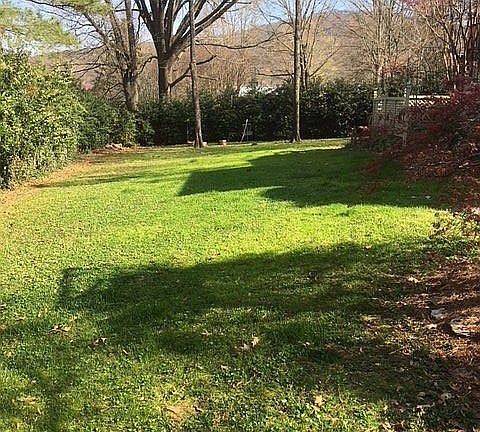 Flat, private back yard 