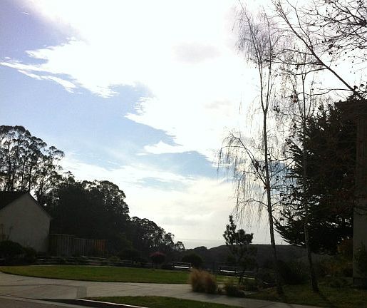 3rd image of 167 Cypress Park