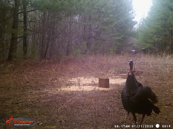 0 Highway 13 N, Eldridge, AL 35554