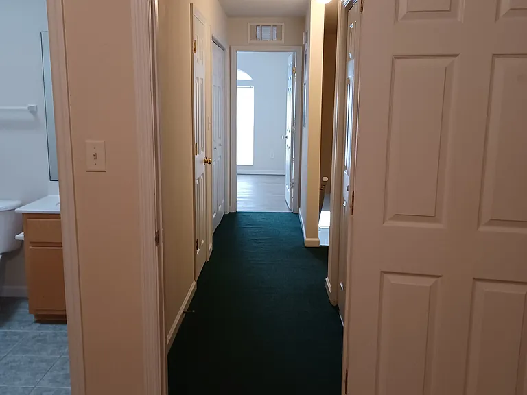 3189 Allison Marie Ct — Photo 15
