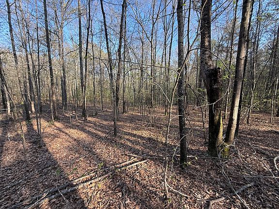 5th image of 0 Oak Mountain Rd