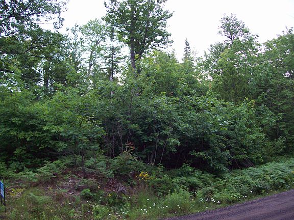 5th image of Tbd Washington Mine Road #18