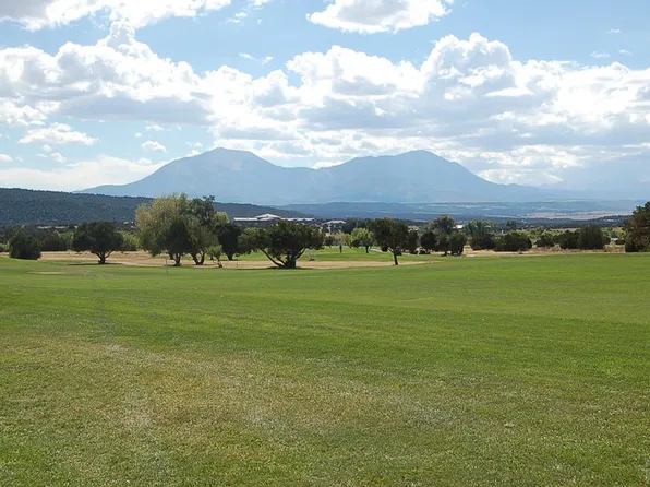 L8 B2 Diamond Head Vis, Walsenburg, CO 81089