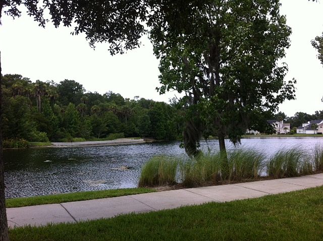 photo 2_07032014