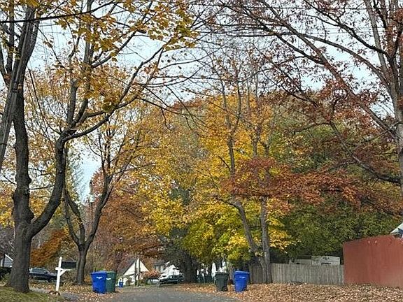 5th image of 47 Fellsmere St