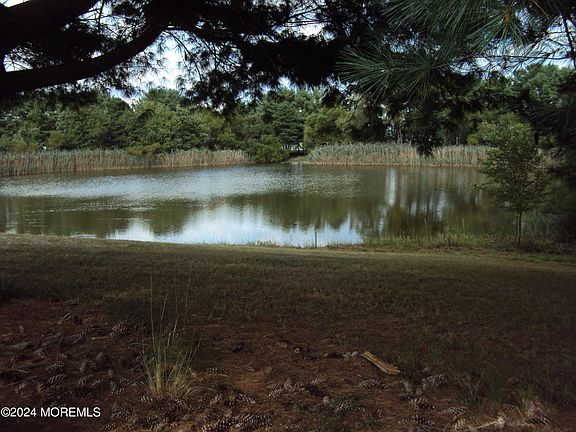 5th image of 34 Santo Domingo Drive