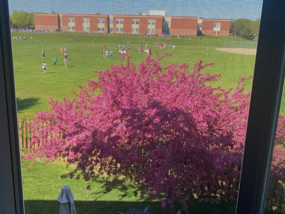 View from master bedroom