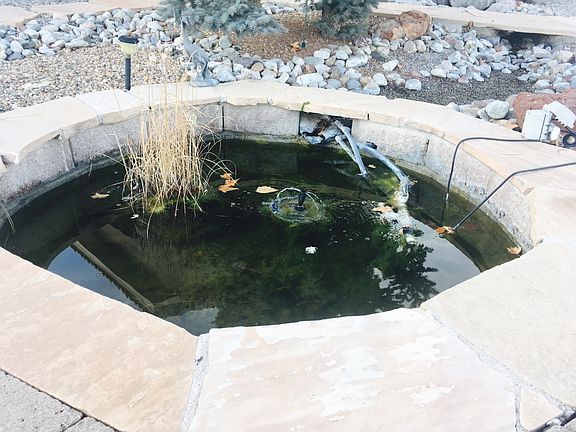 Pond in front yard