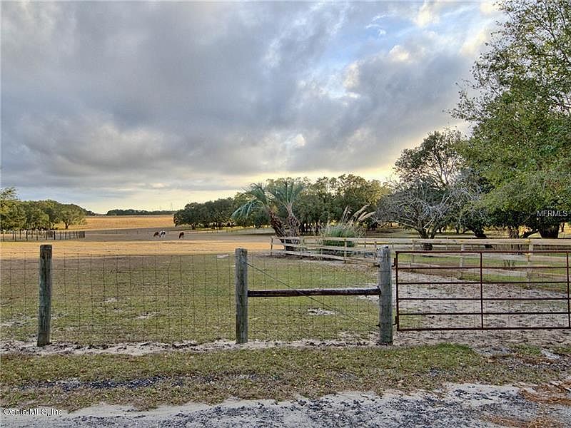 36203 Micro Racetrack Rd, Fruitland Park, FL 34731 Zillow