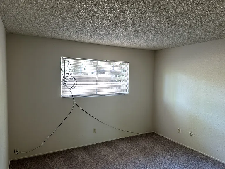 5627 Passero Way — Photo 11