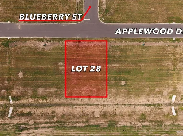 28 Applewood St, Weslaco, TX 78596