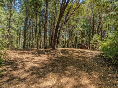 18748 Lancelot Ln, Pioneer, CA, 95666
