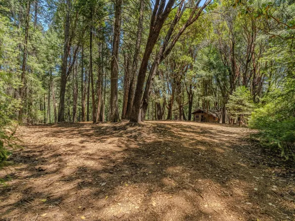 18748 Lancelot Ln, Pioneer, CA 95666