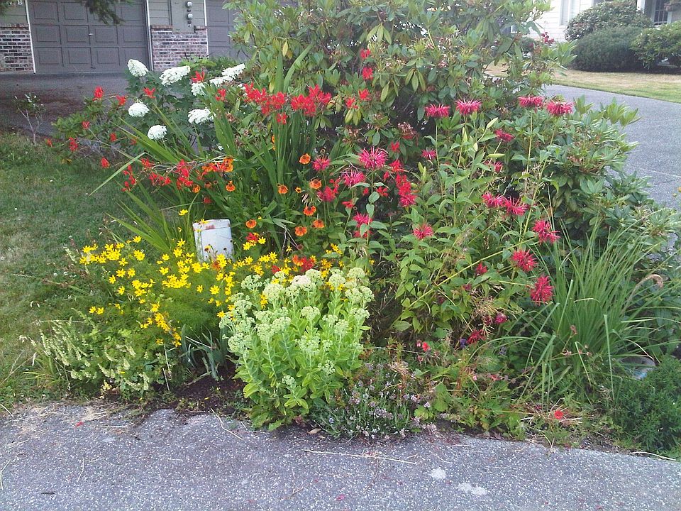 North Side Garden in Front