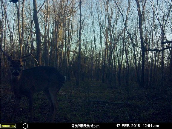 5th image of 10787 County Road 348