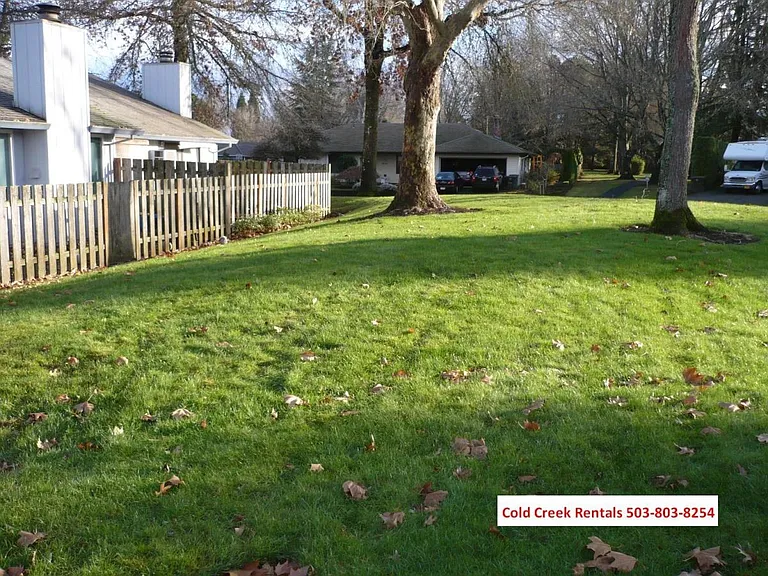 Back yard view