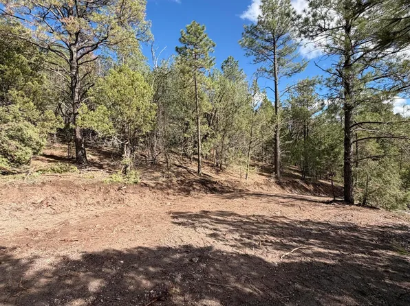 75 County Road 2108, Nutrioso, AZ 85932